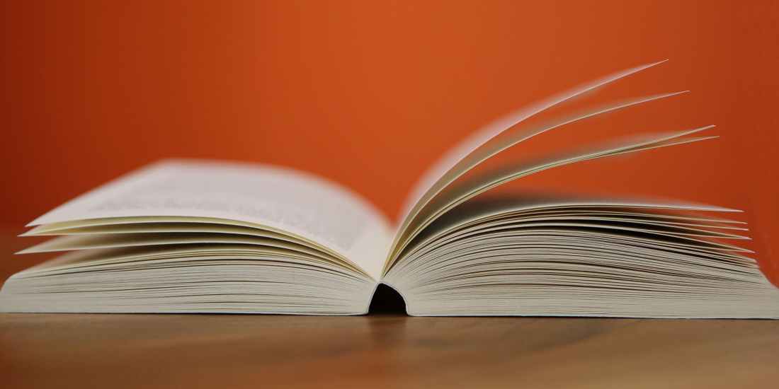 book book pages browse education
